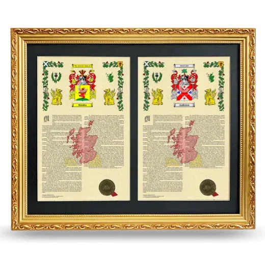 Double Armorial History Framed - Gold