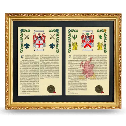 Double Armorial History Framed - Gold