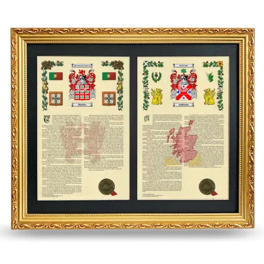 Double Armorial History Framed - Gold