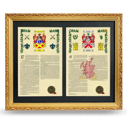 Double Armorial History Framed - Gold