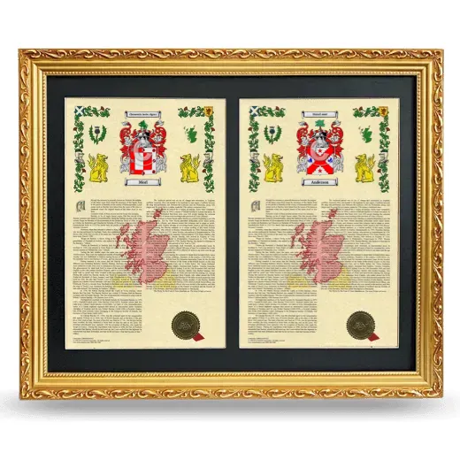 Double Armorial History Framed - Gold