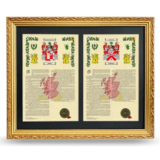 Double Armorial History Framed - Gold