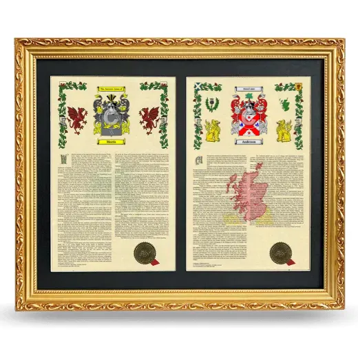 Double Armorial History Framed - Gold