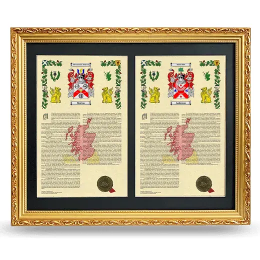 Double Armorial History Framed - Gold
