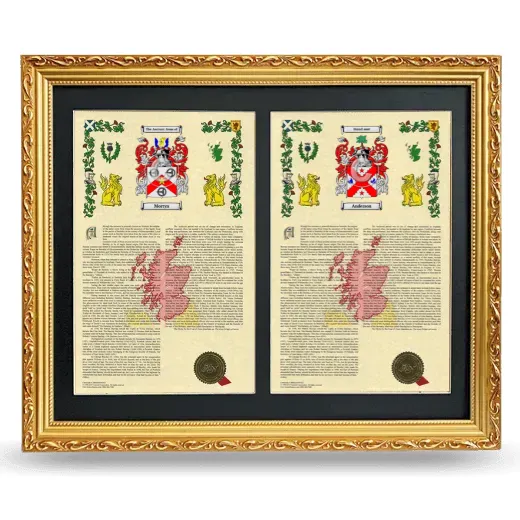 Double Armorial History Framed - Gold