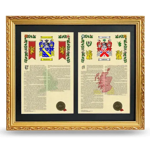 Double Armorial History Framed - Gold