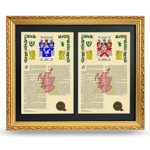 Double Armorial History Framed - Gold