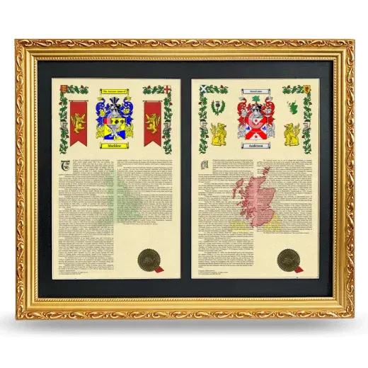 Double Armorial History Framed - Gold