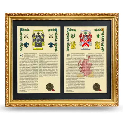 Double Armorial History Framed - Gold