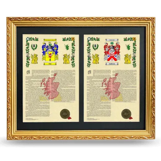 Double Armorial History Framed - Gold