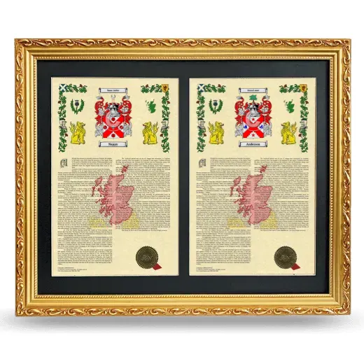 Double Armorial History Framed - Gold