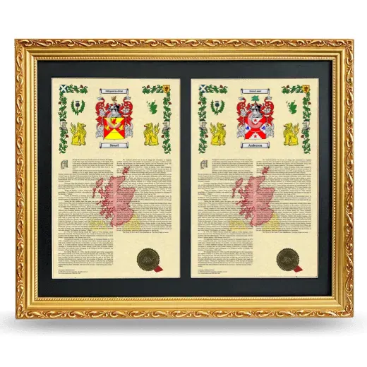Double Armorial History Framed - Gold