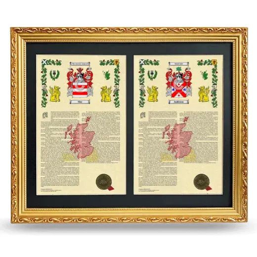 Double Armorial History Framed - Gold