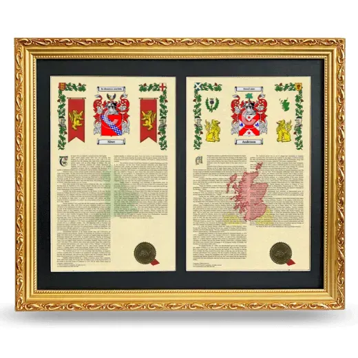 Double Armorial History Framed - Gold