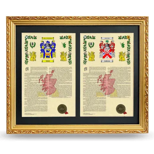 Double Armorial History Framed - Gold