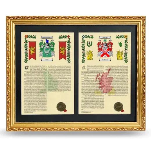 Double Armorial History Framed - Gold