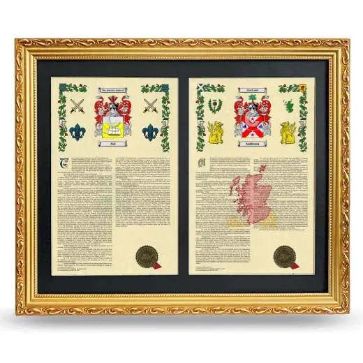 Double Armorial History Framed - Gold