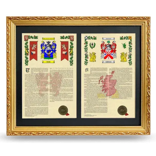Double Armorial History Framed - Gold