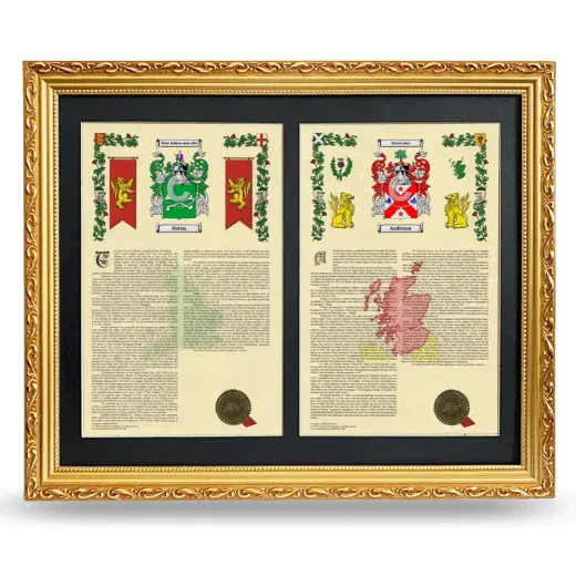 Double Armorial History Framed - Gold