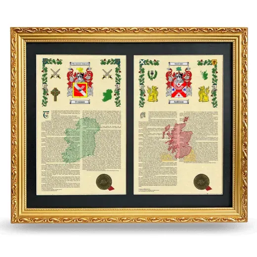Double Armorial History Framed - Gold