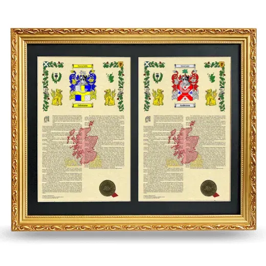 Double Armorial History Framed - Gold