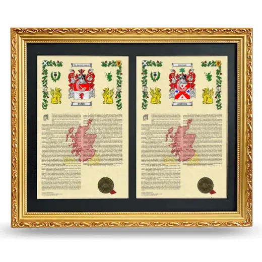 Double Armorial History Framed - Gold