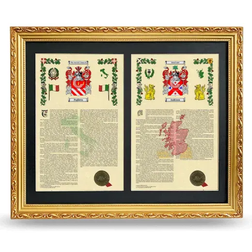 Double Armorial History Framed - Gold