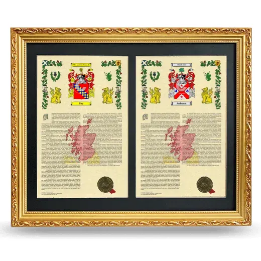 Double Armorial History Framed - Gold