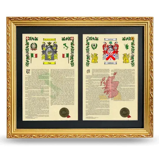 Double Armorial History Framed - Gold