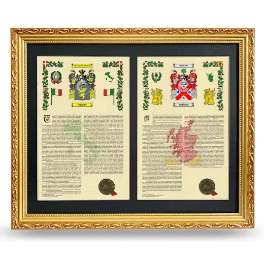Double Armorial History Framed - Gold