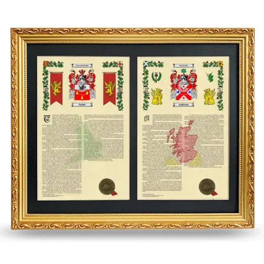 Double Armorial History Framed - Gold