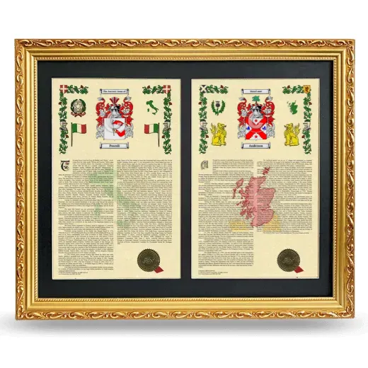 Double Armorial History Framed - Gold