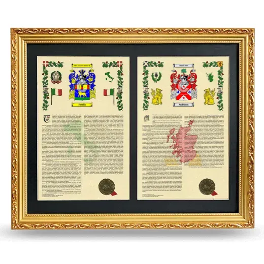 Double Armorial History Framed - Gold