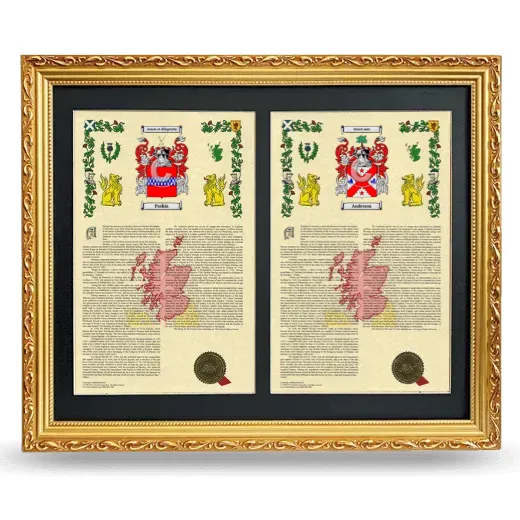 Double Armorial History Framed - Gold