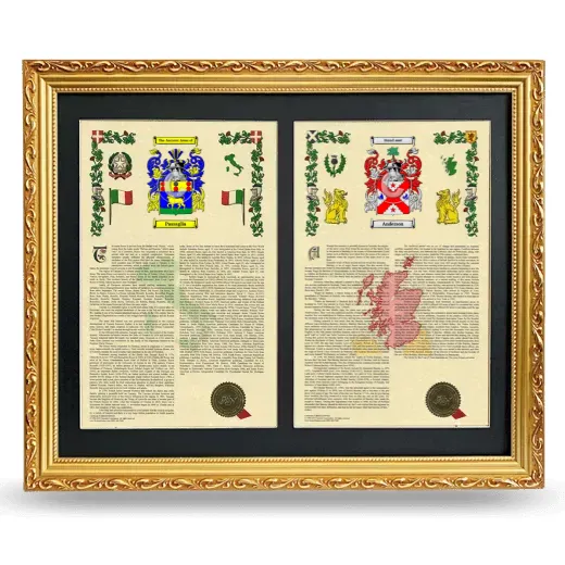 Double Armorial History Framed - Gold