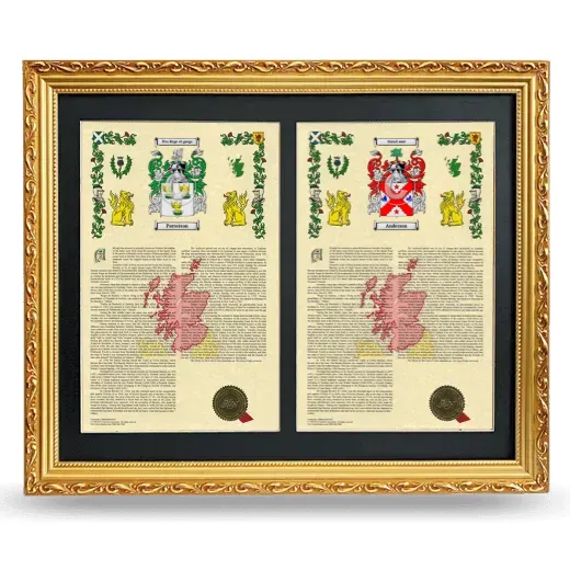 Double Armorial History Framed - Gold