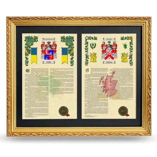 Double Armorial History Framed - Gold