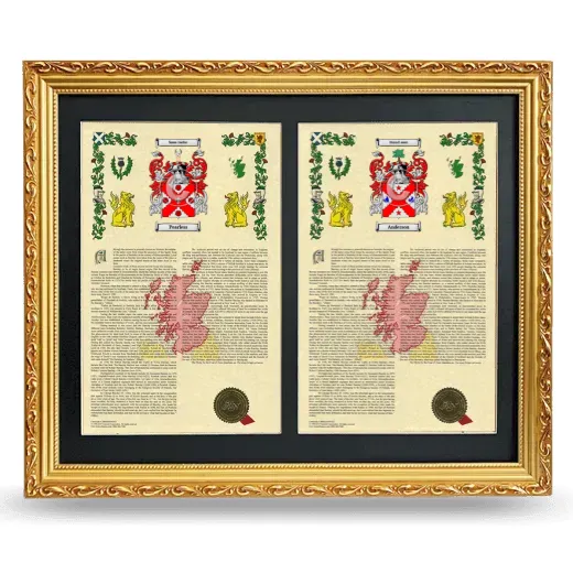 Double Armorial History Framed - Gold