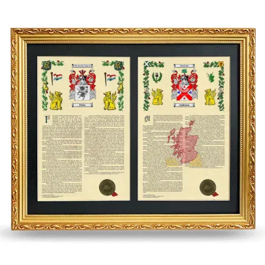 Double Armorial History Framed - Gold