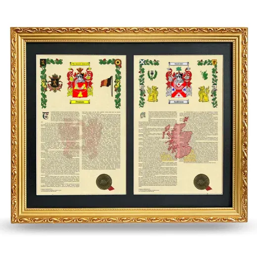 Double Armorial History Framed - Gold