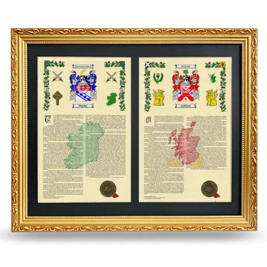 Double Armorial History Framed - Gold
