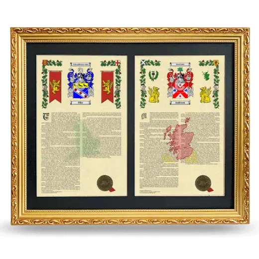 Double Armorial History Framed - Gold