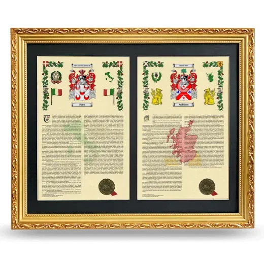 Double Armorial History Framed - Gold