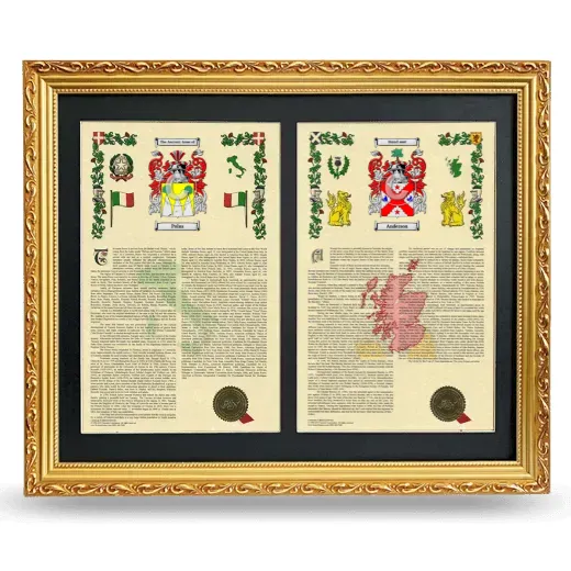 Double Armorial History Framed - Gold