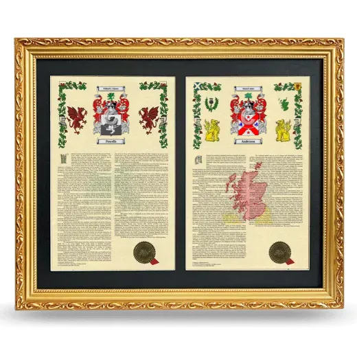 Double Armorial History Framed - Gold