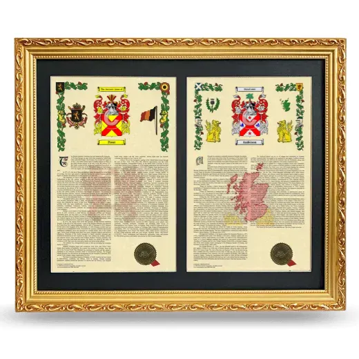 Double Armorial History Framed - Gold