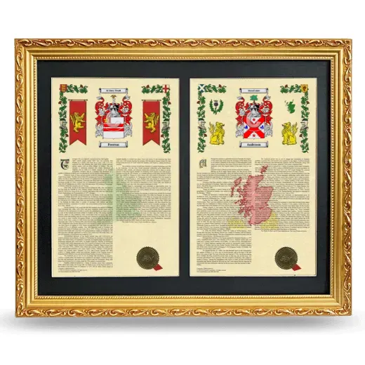 Double Armorial History Framed - Gold