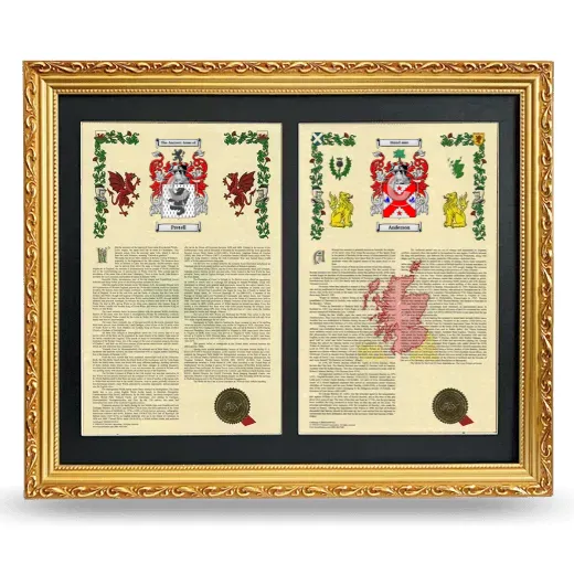 Double Armorial History Framed - Gold