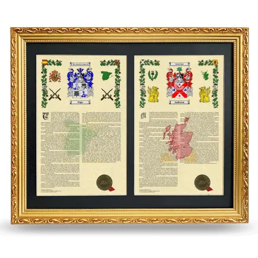 Double Armorial History Framed - Gold