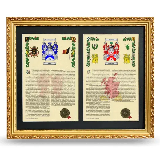 Double Armorial History Framed - Gold